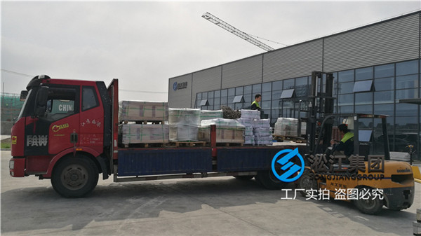 潍坊换热机组用DN250橡胶避震喉
